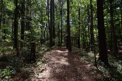 153 W Cr 319, Tyler, TX 75706 - Photo 39