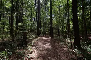 153 W Cr 319, Tyler, TX 75706 - Photo 39