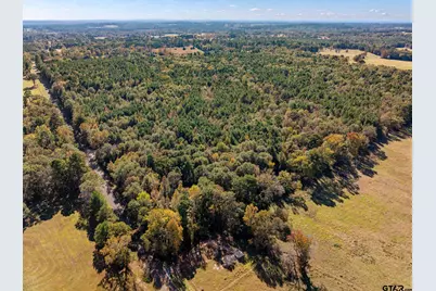 Lots 8, 7, & 6 Creek Bend Trail, Troup, TX 75789 - Photo 9