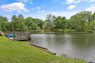 233 Lakeside Pl, Mineola, TX 75773 - Photo 27