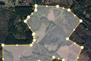 Tbd Hwy 49, Jefferson, TX 75657 - Photo 1