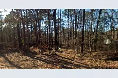 0 Bois Arc Avenue, Jefferson, TX 75657 - Photo 7