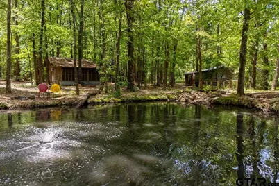 153 W Cr 319, Tyler, TX 75706 - Photo 41