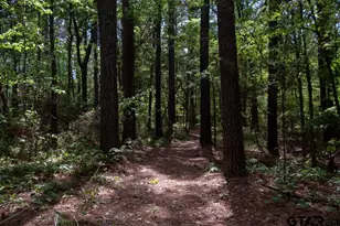 153 W Cr 319, Tyler, TX 75706 - Photo 39