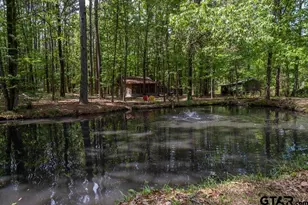 153 W Cr 319, Tyler, TX 75706 - Photo 45