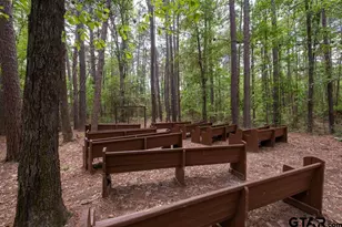 153 W Cr 319, Tyler, TX 75706 - Photo 13