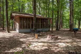 153 W Cr 319, Tyler, TX 75706 - Photo 31