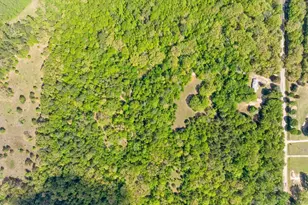 3549 Fm 69, Quitman, TX 75783 - Photo 13