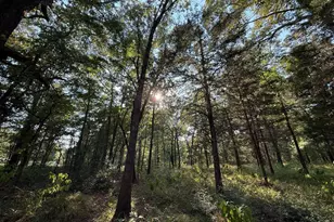 Tbd Cr 2798, Mineola, TX 75773 - Photo 1