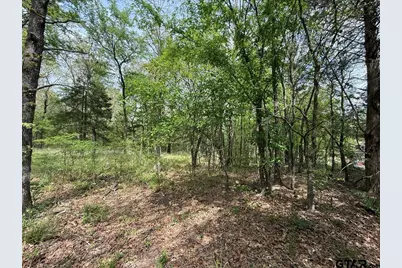 Tbd Cr 2798, Mineola, TX 75773 - Photo 25