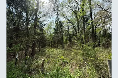 Tbd Cr 2798, Mineola, TX 75773 - Photo 19