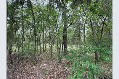 Tbd Cr 2798, Mineola, TX 75773 - Photo 17