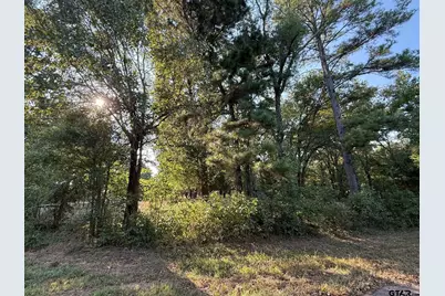 Tbd Cr 2798, Mineola, TX 75773 - Photo 13