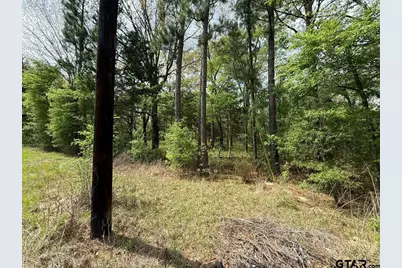 Tbd Cr 2798, Mineola, TX 75773 - Photo 23