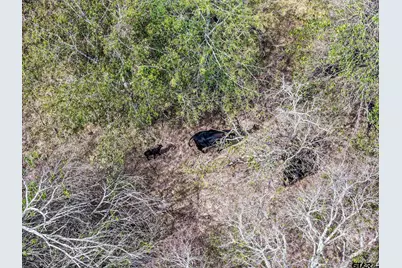 8193 Fm 2285, Sulphur Springs, TX 75482 - Photo 23