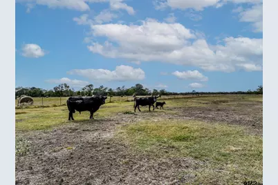 8193 Fm 2285, Sulphur Springs, TX 75482 - Photo 37