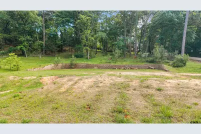 17839 Harbor Ln, Flint, TX 75762 - Photo 3