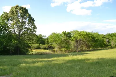 Tbd County Road 1300, Yantis, TX 75497 - Photo 13