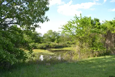 Tbd County Road 1300, Yantis, TX 75497 - Photo 15