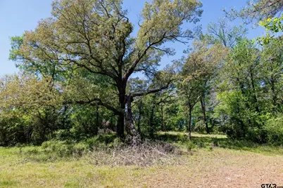 5973 Fm 344, Tyler, TX 75703 - Photo 27
