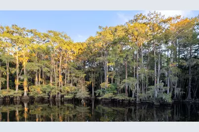 742 Private Road 7219, Jefferson, TX 75657 - Photo 45