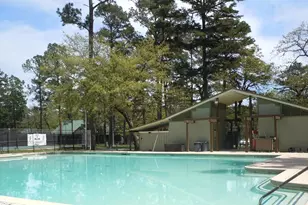 250 Autumn Wood Trail, Holly Lake Ranch, TX 75765 - Photo 27