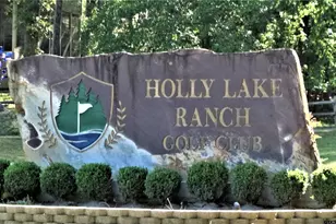 250 Autumn Wood Trail, Holly Lake Ranch, TX 75765 - Photo 23