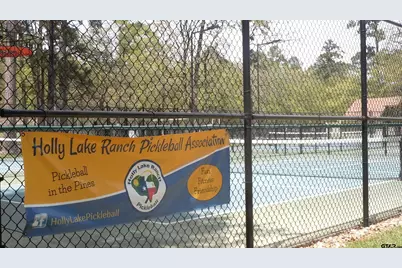 250 Autumn Wood Trail, Holly Lake Ranch, TX 75765 - Photo 25