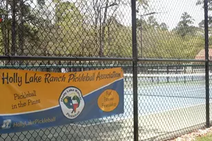 250 Autumn Wood Trail, Holly Lake Ranch, TX 75765 - Photo 25