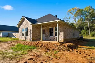 165 Melissa, Bullard, TX 75757 - Photo 45