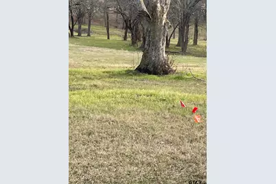 5455 Saddle Ridge Ct, Athens, TX 75752 - Photo 19