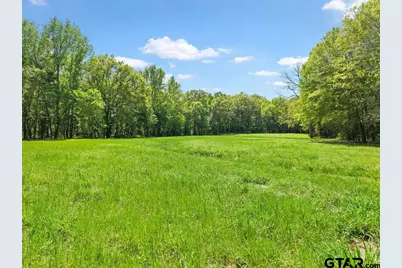 Tbd Vz County Road 4505, Ben Wheeler, TX 75754 - Photo 3