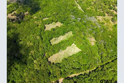 Tbd Vz County Road 4505, Ben Wheeler, TX 75754 - Photo 19