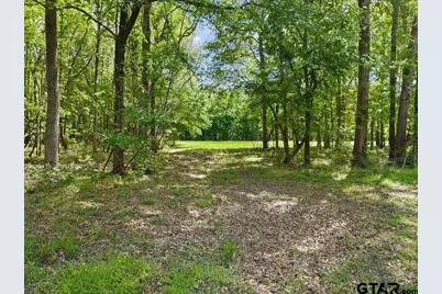 Tbd Vz County Road 4505, Ben Wheeler, TX 75754 - Photo 17