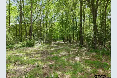 Tbd Vz County Road 4505, Ben Wheeler, TX 75754 - Photo 11