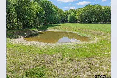 Tbd Vz County Road 4505, Ben Wheeler, TX 75754 - Photo 15