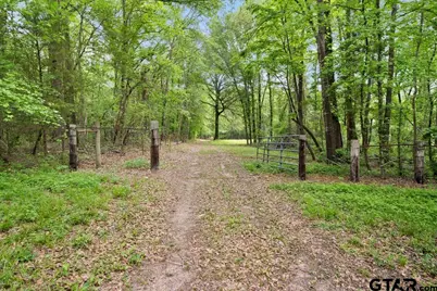 Tbd Vz County Road 4505, Ben Wheeler, TX 75754 - Photo 13