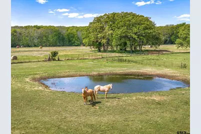 260 Vzcr 3531, Edgewood, TX 75117 - Photo 3