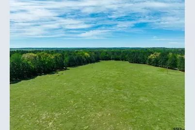 5755 An County Road 153, Palestine, TX 75801 - Photo 33