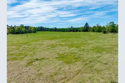 5755 An County Road 153, Palestine, TX 75801 - Photo 31