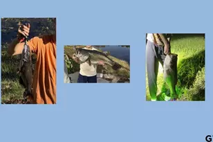 23677 Greenway Dr, Bullard, TX 75757 - Photo 33