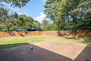 250 Paradise Ln, Hawkins, TX 75765 - Photo 25