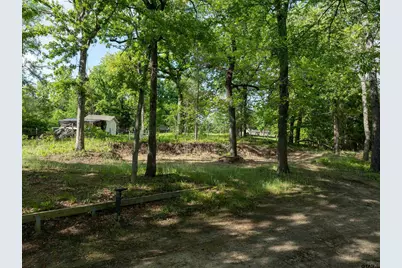 175 North Lake Drive, Murchison, TX 75778 - Photo 9