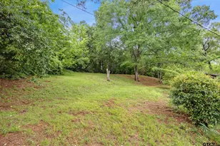 201 Old Tyler Rd, Whitehouse, TX 75791 - Photo 31