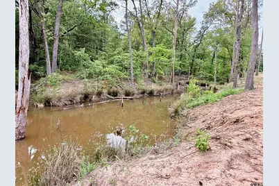 224 County Road 2766, Mineola, TX 75773 - Photo 37