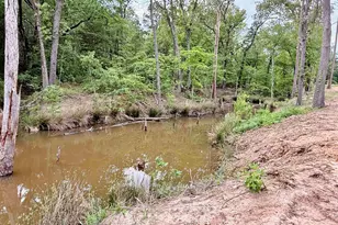 224 Co Rd 2766, Mineola, TX 75773 - Photo 37