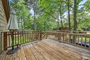 16691 S Lakeview Dr, Troup, TX 75789 - Photo 25