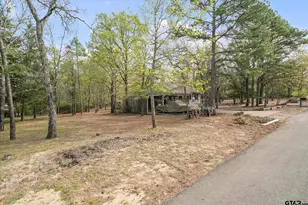 381 Knollwood Ln, Holly Lake Ranch, TX 75765 - Photo 33