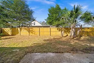 407 Shelly Dr, Whitehouse, TX 75791 - Photo 19