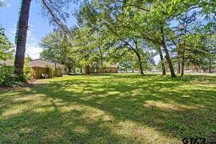 11403 C R 137, Flint, TX 75762 - Photo 29